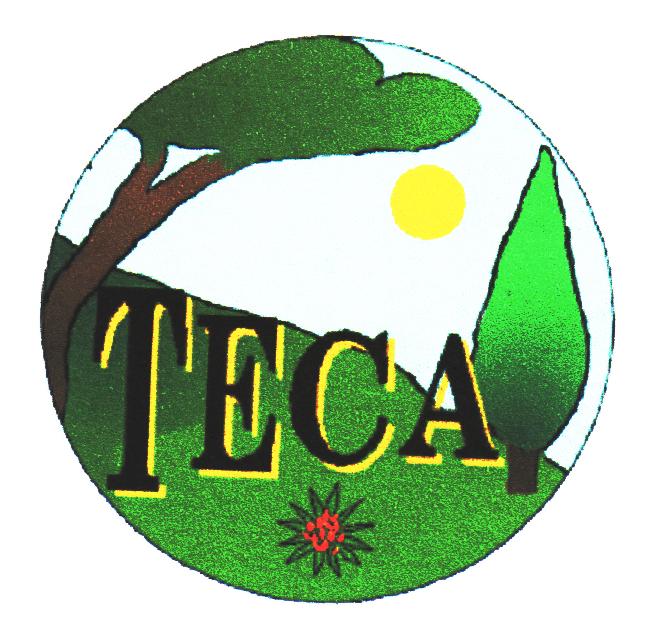 LOGO teca